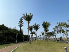 -野狸岛