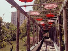 -南汇桃花村