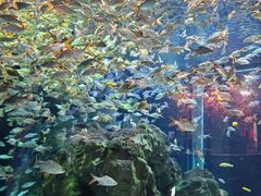 -成都浩海立方海洋公园