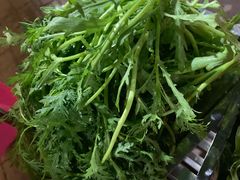茼蒿-马坡马老三烧烤涮牛肚(塔西店)