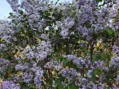 -长春公园(普阳街道)