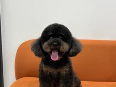 -1013 PET SHOP 宠物商店(近铁城市广场店)