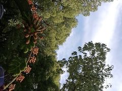 -共青国家森林公园-售票处