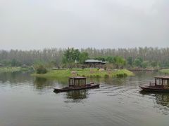 -合肥滨湖国家森林公园