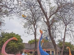 -森波拉火山温泉