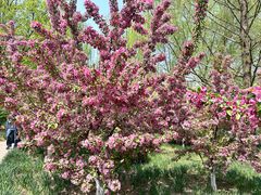 -元大都城垣遗址公园