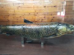 -南京金牛湖风景区