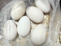-单家老院·院子里的青岛菜(沙子口店)