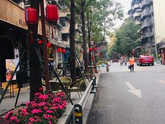 -泡桐树街