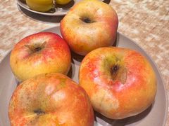 -喝丢一只鞋海鲜烧烤·海肠捞饭(东关街店)