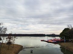 -上海海湾国家森林公园