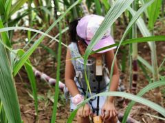 -万源龙顺度假庄园生态观光园