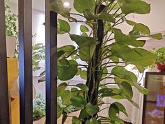 -领享养生会所·采耳·SPA按摩(厦门吕厝店)