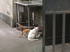 -上海静安宾馆