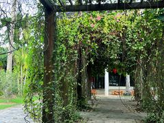 -中国科学院西双版纳热带植物园