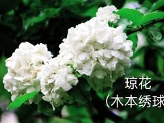 -中山公园