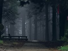 -武陵山森林公园