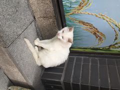 iphone_upload_pic-手提串串香