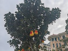 -青澳湾北回归线广场