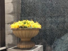 -常州武进九洲喜来登酒店