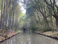 -同里国家湿地公园