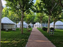 -九十九顶毡房(阜石路店)