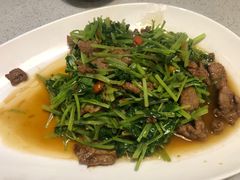 芹菜苗炒牛肉-农家大院(纪王店)