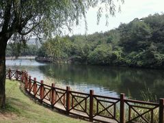 -白马涧龙池景区