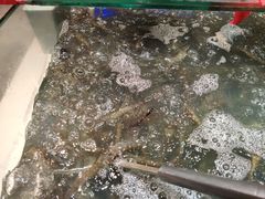 -圣罗巴海鲜烤肉自助(鲅鱼圈万达店)