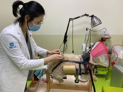 -美联众合动物医院·24h转诊中心