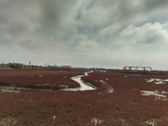 -红海滩国家风景廊道