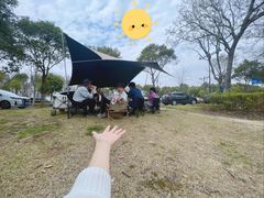 -贡湖湾湿地公园