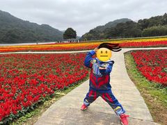 -广州市石门国家森林公园