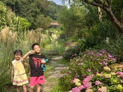 -云溪植物园