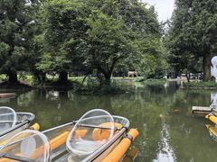 -武陵山森林公园