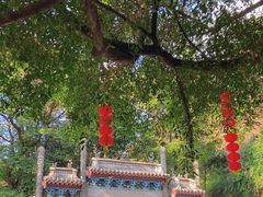 -广州市白云山风景名胜区