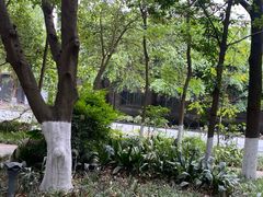 -成都市活水公园