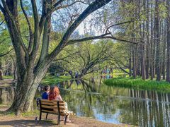 -上海共青森林公园