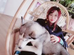 -Husky Go! 哈士奇体验馆·宠物咖啡厅狗咖