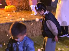 -郑州方特梦幻王国