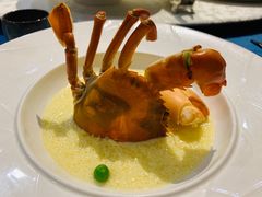 三门青蟹-麟1929(外滩店)