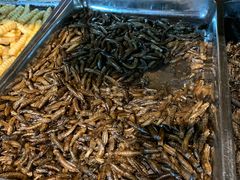 -昆虫窝子·特色云南菜(拓东路总店)