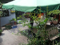 android_upload_pic-后海16号·北京私房菜