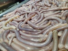 -三亚火车头万人海鲜广场