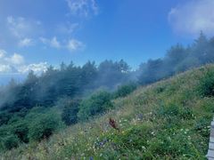 -白草畔自然风景区