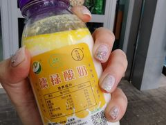 -德禄酸奶(莫家街店)