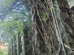 -九龙公园