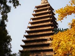 -北京石刻艺术博物馆(五塔寺)