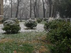 -山东大学(趵突泉校区)