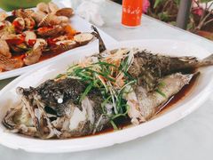 清蒸老虎石斑鱼-范饭椰林川湘味海鲜·椰子鸡(三亚湾椰梦长廊店)